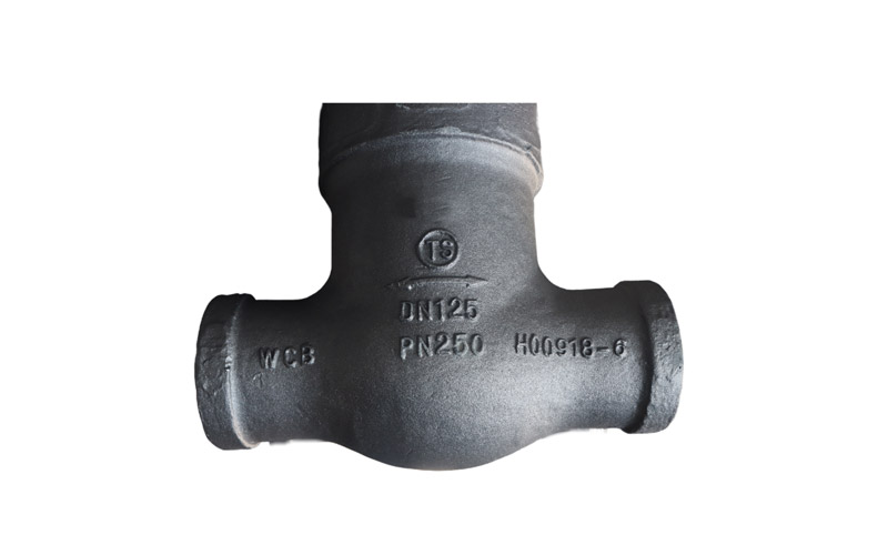 Z960Y-PN250-DN125 Gate Valve Castings