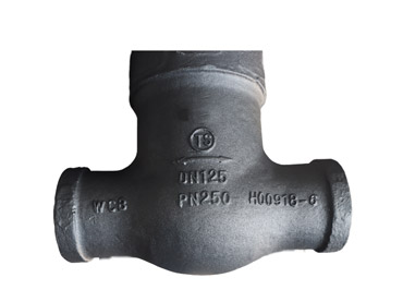 Z960Y-PN250-DN125 Gate Valve Castings